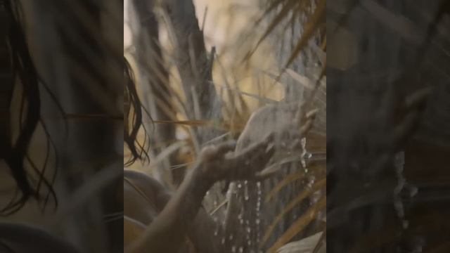 ERI ANTON - MIAMI JUNGLE смотреть онлайн