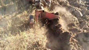 МТЗ 082 бс , вспашка целины в засушливое лето!