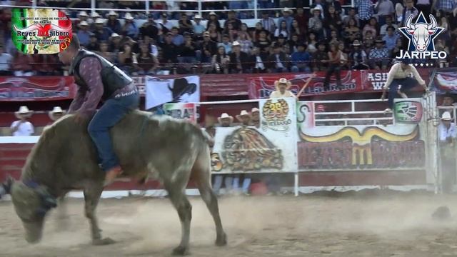 GUAYABITA DE LA GOLETA VS AMOR CHIQUITO смотреть онлайн