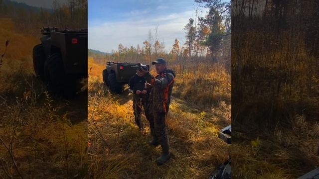 День с блоггером. Выезд на болота. смотреть онлайн