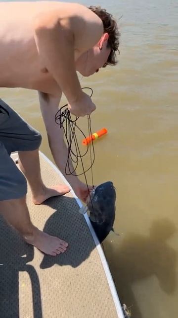 My son Tyler and Fred the blue cat 🎣 Grand Lake *I don’t not own any rights to any music смотреть онлайн
