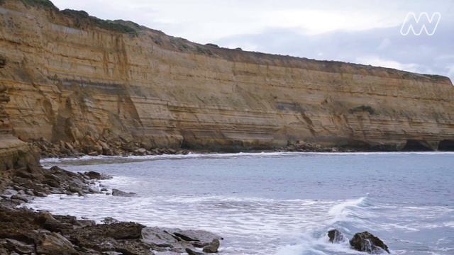 Janjucetus hunderi the fierce whale ancestor of modern giants смотреть онлайн
