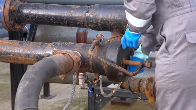 Cokebusters - Pig Process смотреть онлайн