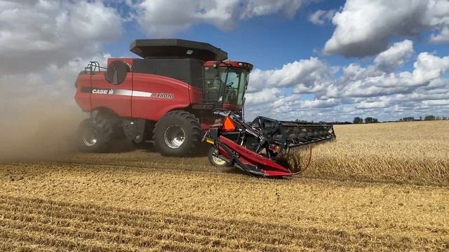 2006 CASE IH 8010 For Sale смотреть онлайн