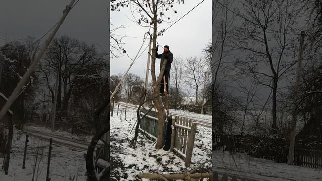 Пилим, режем,,,, 1 часть смотреть онлайн