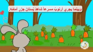 мультики  для детей Заяц и черепаха