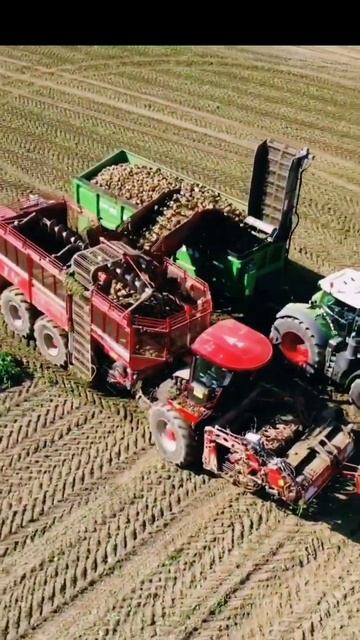 Fendt 1050 Vario & Grimme Varitron 470 #shorts #short #grow #viral #tractor #fendt смотреть онлайн