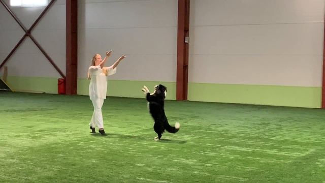 Фристайл-соло, Чиж Валерия и бк Кайзер 28.09.19 смотреть онлайн