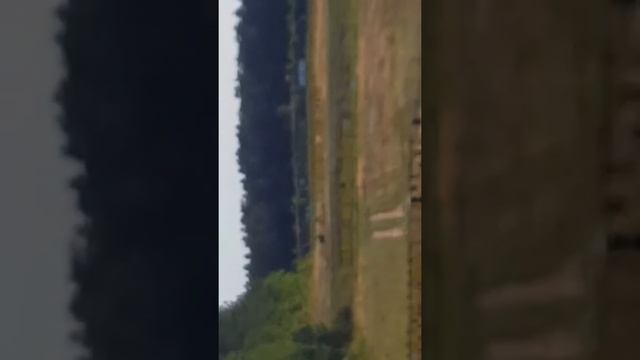 .309 Lee PC CAST BULLETS IN 308 USING AR10. CHECKEDQ & PC'D WEIGHT 210G, 600 accurate 30CAL CYCLES. смотреть онлайн