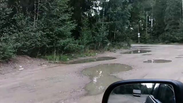 Лиса 🦊 в Ленинградской области смотреть онлайн