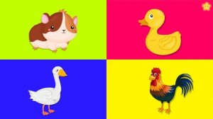 Сборник Как говорят животные для детей Развивающие мультики для детей