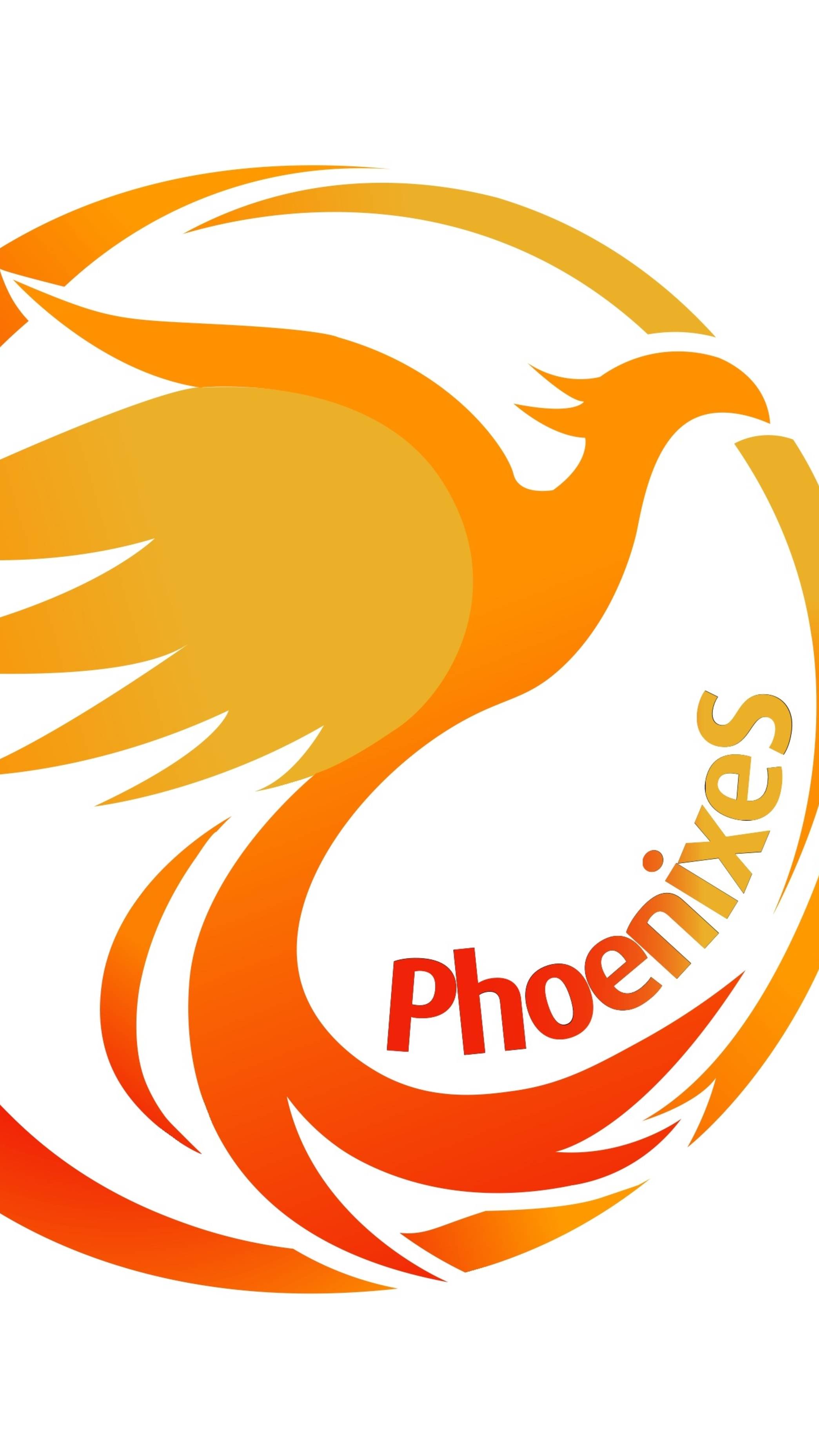 New Badminton League Moscow