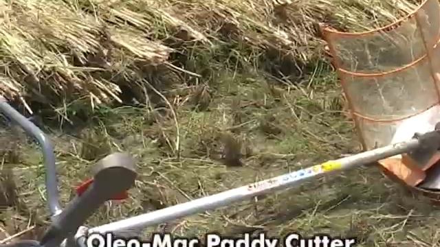 Paddy cutter services - Ratnagiri Impex Products смотреть онлайн
