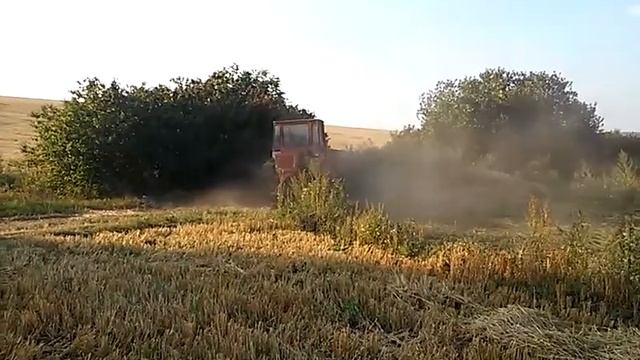 т-16 смотреть онлайн