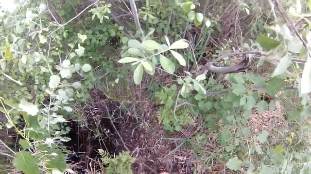 Про бушкрафт и аутдор часть 4 смотреть онлайн