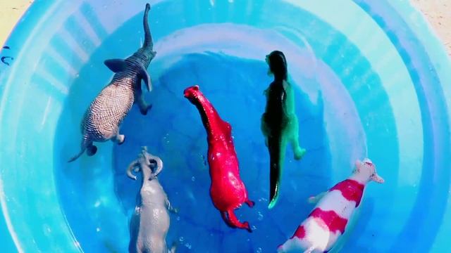 animals in water lion, leopard, cheetah, tiger, rhino, elephant, shrimp, goat, crocodile, zebra смотреть онлайн