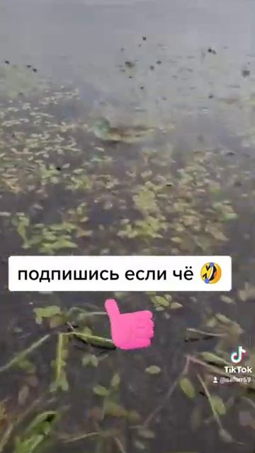 Карась. рыбалка на карася 🐟 ВОТ ЭТО РЫБАЛКА рыбалка на червяк смотреть онлайн