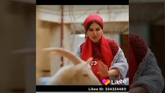 Келлини камедийа лари смотреть онлайн
