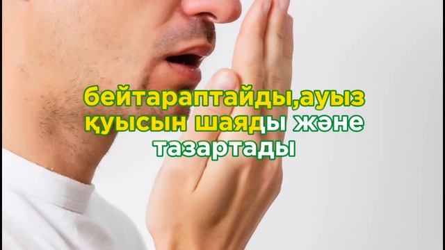 Ауыздағы жағымсыз иістің пайда болу себептері смотреть онлайн