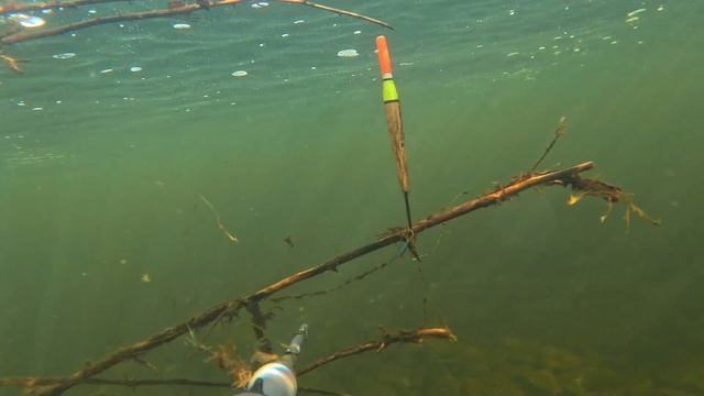 С Юлей на охоту -21