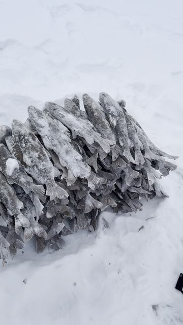 Горная рыбалка-Не плохо порыбачили смотреть онлайн