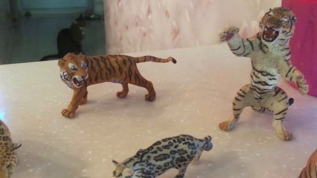 Моя коллекция «большие котики» смотреть онлайн