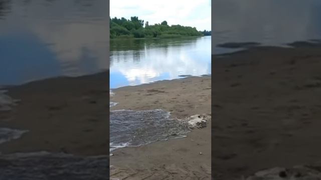 ЗЭТплывёт и едет!Документы для постановки на учёт, всегда в комплекте!Входят в стоимость 89246048604 смотреть онлайн