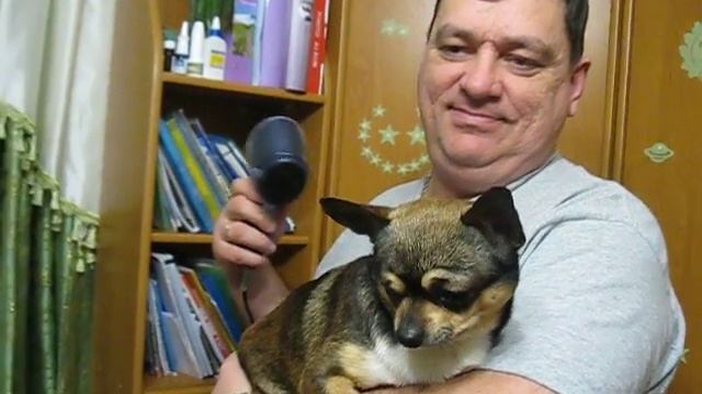 сушка феном смотреть онлайн