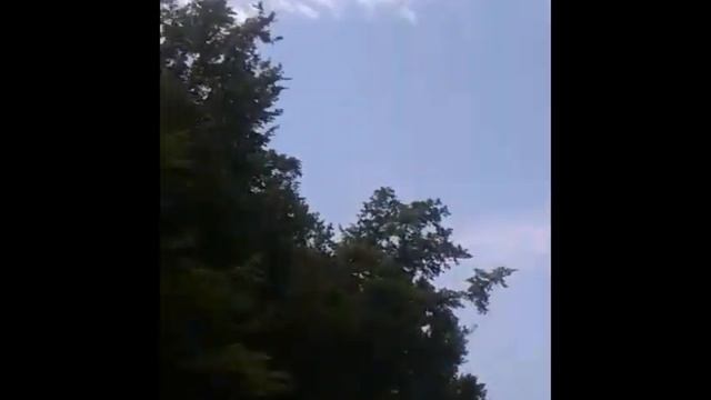 ЧЕЛЛЕНДЖ В ЛЕСУ 10 ЧАСОВ /челлендж смотреть онлайн