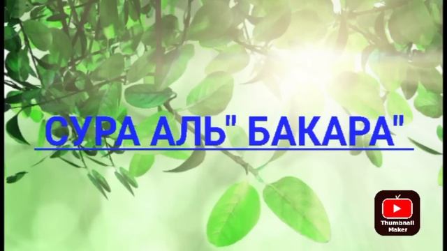 Чудо дуа защитить вас вес день! Утренний дуа каждое утро! смотреть онлайн