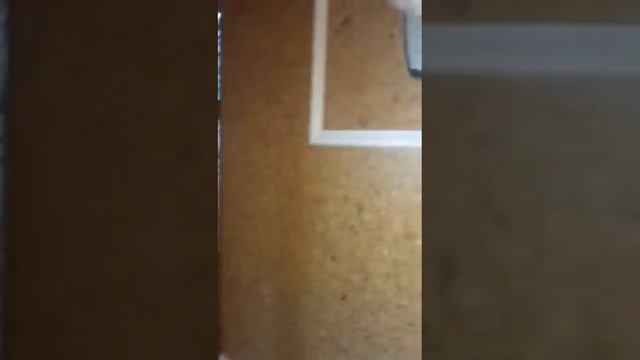 Аренда на час, на сутки, Хабаровск, центр, ул Ленина смотреть онлайн