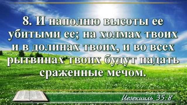ВидеоБиблия Книга пророка Иезекииля без музыки глава 35 Соколов смотреть онлайн