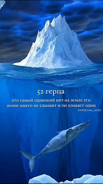 самый одинокий кит в мире 52гц | 52гц#рекомендации #рек#кит#пение#кита смотреть онлайн