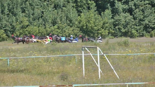 29.07.2018 г. 7-й заезд Приз Элиты 2-й гит смотреть онлайн