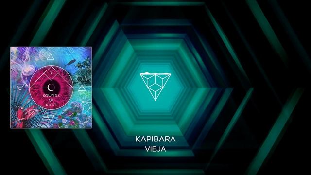 Kapibara - Vieja (Original Mix) смотреть онлайн