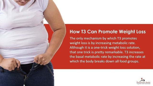 Does T3 Help You Lose Weight смотреть онлайн