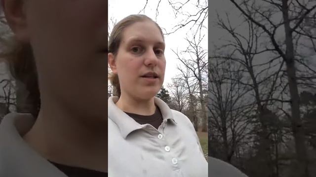 Weathercast 8: Svr Wx Feb 28 2017 смотреть онлайн