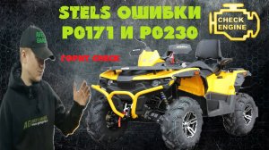 Ошибки STELS 0230 и 0171 как их вылечить?