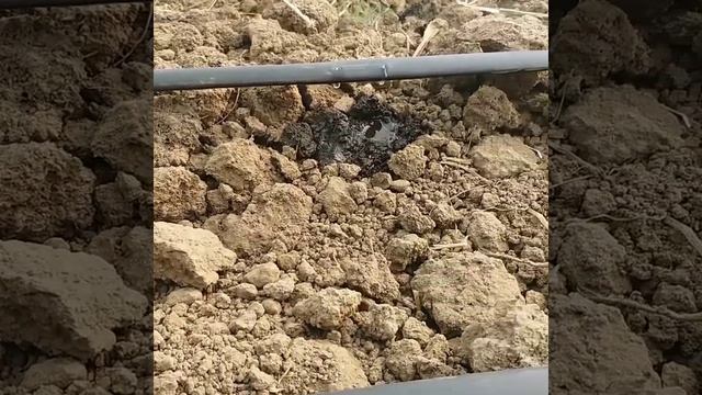 Drip Irrigation materials & Drip irrigation system installations. смотреть онлайн