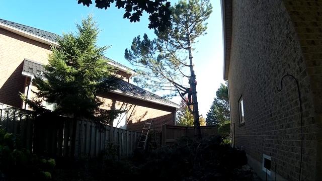 Простенькая работа в солнечный день. смотреть онлайн