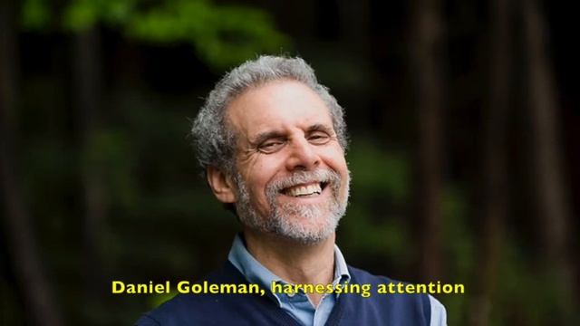 Daniel Goleman, harnessing attention 3 minute audio clip смотреть онлайн