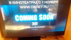 Обзор на DVD диск Феи: Тайна зимнего леса (2012)