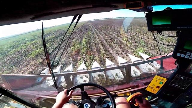 Kombájnos Vlog#7 - Napraforgó aratás |New Holland TX66 + NAS 876| смотреть онлайн