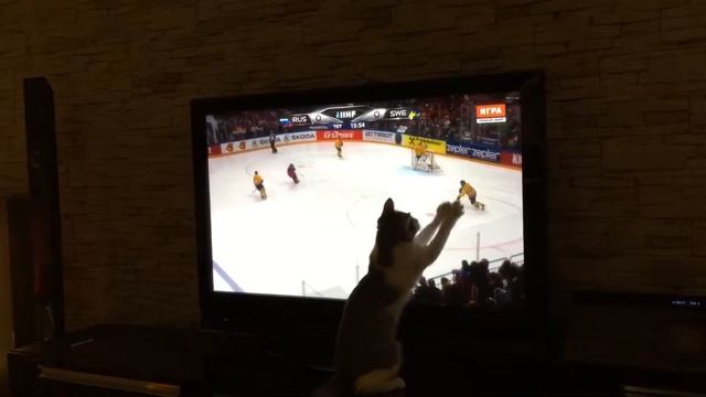 Кто помог выиграть сборной России в матче с Швецией смотреть онлайн