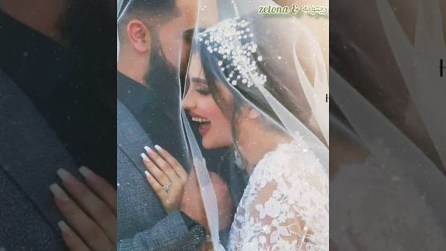 اغنية تركيا 💛 çok şükür смотреть онлайн