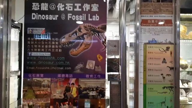 [恐龍@化石專門店] 香港首個古生物化石主題商店 Hong Kong's first paleontological fossil store смотреть онлайн