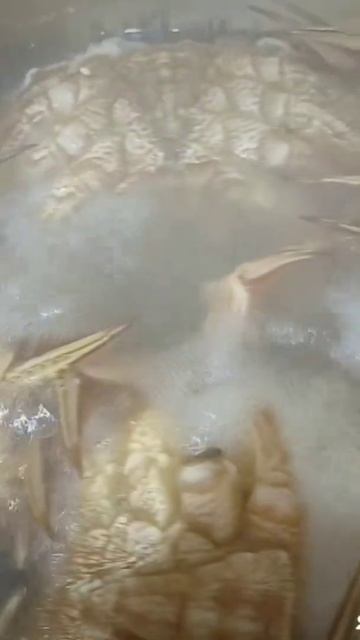 蟹が美味しく茹で上がりましたーー🦀蟹一筋亭主が茹でる自慢の毛蟹🦀 смотреть онлайн