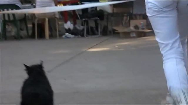 29 августа 2010 смотреть онлайн