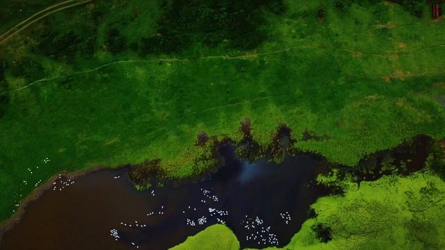 Москва - Байкал Трип 4ий день Курган - Омск смотреть онлайн