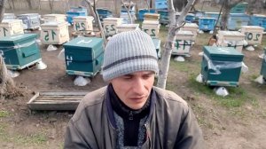 Что скрывают пчеловоды-блогеры?